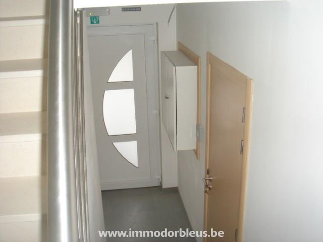 a-vendre-maison-saint-nicolas-montegne-3209219-21.jpg