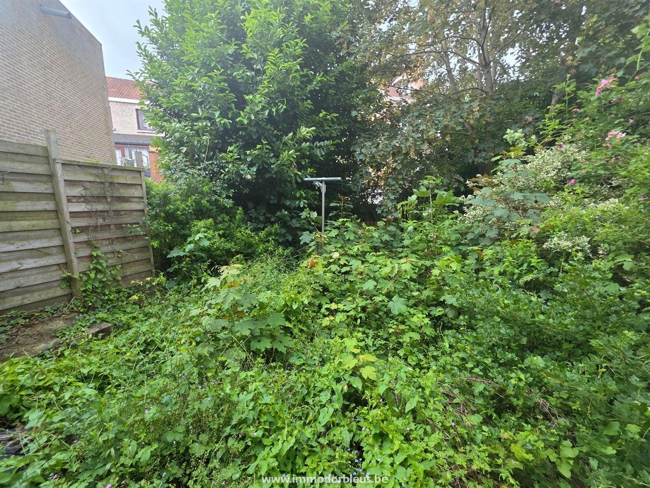 a-vendre-maison-seraing-3291-13.jpg