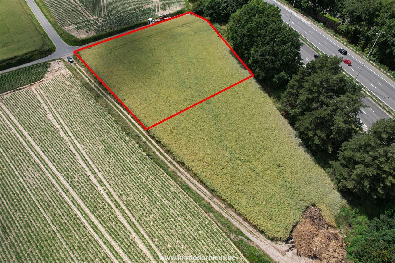 a-vendre-terrain-herstal-3295-1.jpg