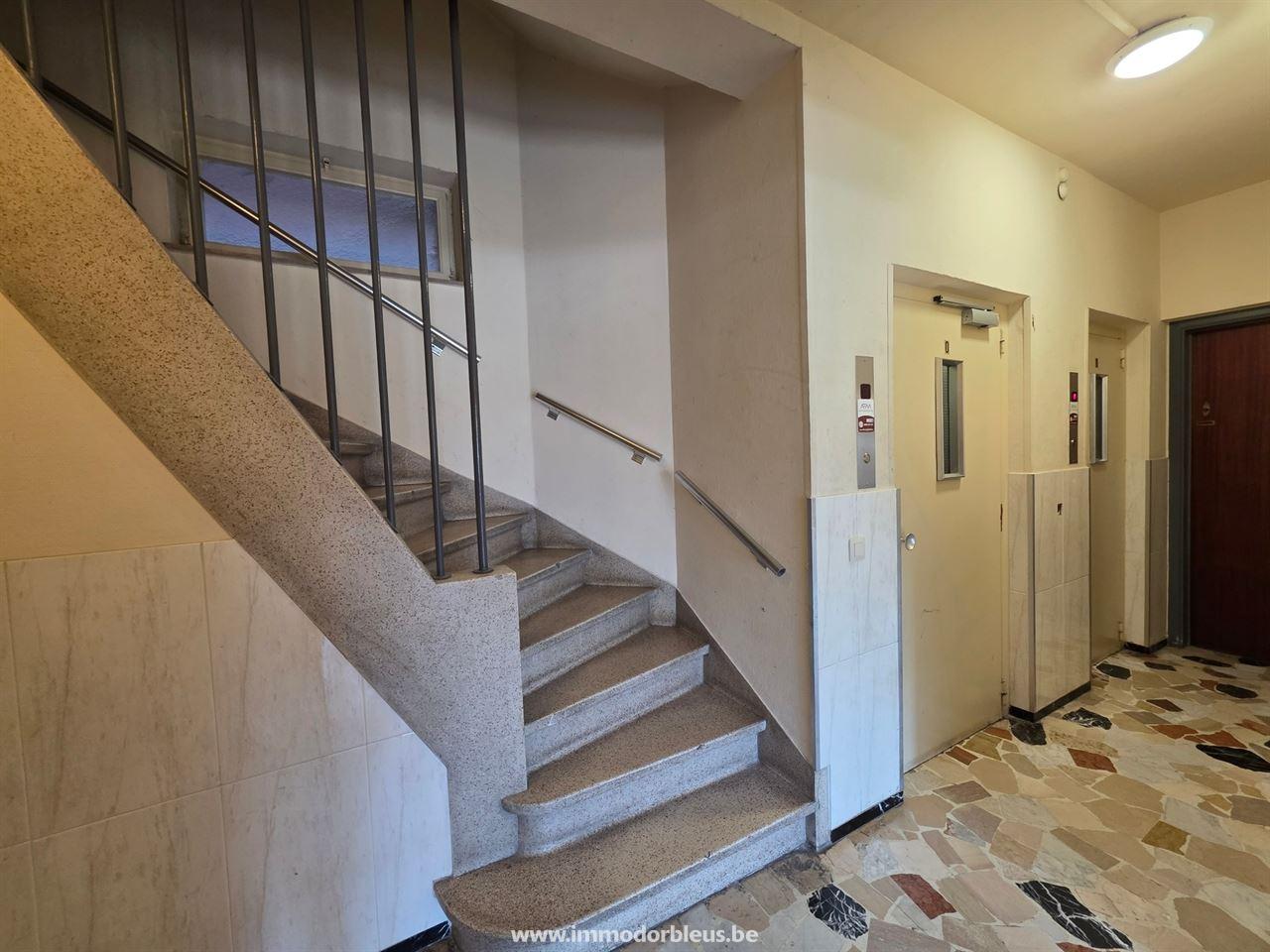 a-louer-appartement-lige-3313-11.jpg