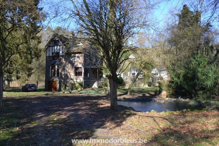a-vendre-maison-comblain-au-pont-3321909-24.jpg