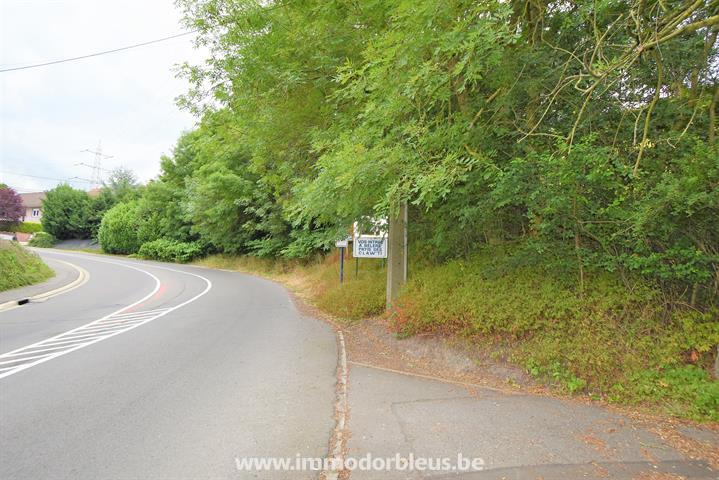a-vendre-terrain-beyne-heusay-bellaire-3891522-3.jpg