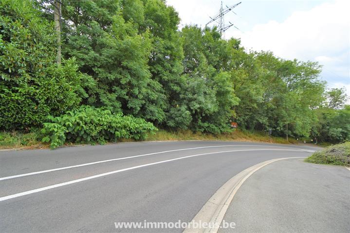 a-vendre-terrain-beyne-heusay-bellaire-3891522-4.jpg