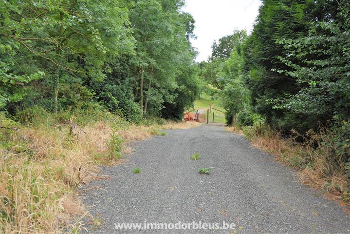 a-vendre-terrain-beyne-heusay-bellaire-3891522-6.jpg