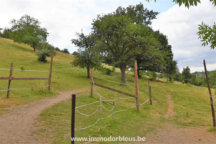 a-vendre-terrain-beyne-heusay-bellaire-3891522-8.jpg