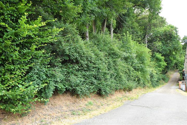 a-vendre-terrain-beyne-heusay-bellaire-3891522-9.jpg
